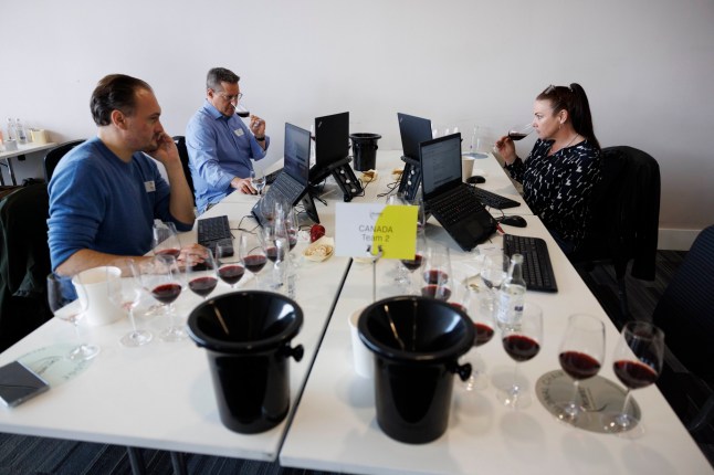 Behind the scenes at the judging of Decanter Awards in Excel today. Pictured: Judges tasting wines from Canada. (C) Belinda Jiao 07598931257 www.belindajiao.com jiao.bilin@gmail.com